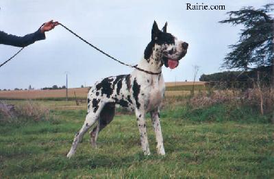 Patchwork Des Terres De La Rairie
