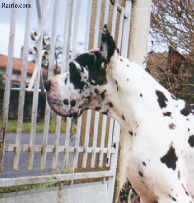Patchwork Des Terres De La Rairie