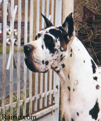 Patchwork Des Terres De La Rairie