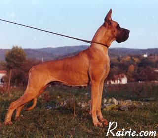 Ch Perlane Des Terres De La Rairie