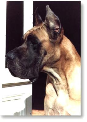 Ch Phale Des Terres De La Rairie