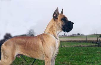 Platon Des Terres De La Rairie