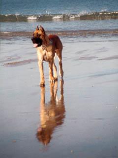 Platon Des Terres De La Rairie