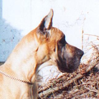 Privilege Des Terres De La Rairie