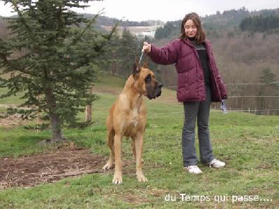 Ragazza Des Terres De La Rairie