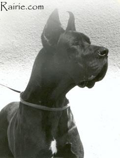 Rain Des Terres De La Rairie