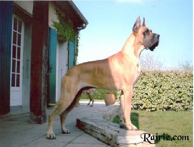 Ch Rain Bow Des Terres De La Rairie