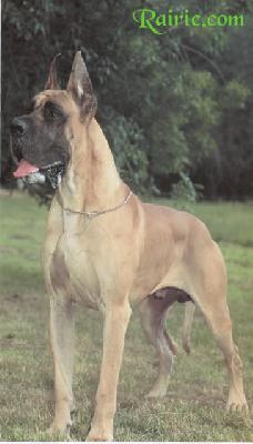 Ch Rain Bow Des Terres De La Rairie