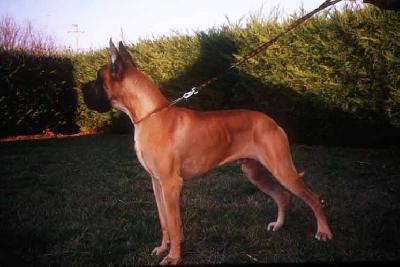 Ch Rain Bow Des Terres De La Rairie