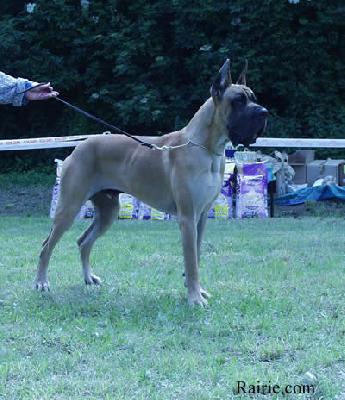 Ch Rain Bow Des Terres De La Rairie