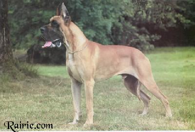 Ch Rain Bow Des Terres De La Rairie