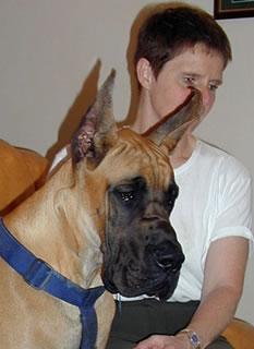 Rairy Des Terres De La Rairie