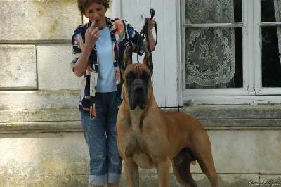 Rairy Des Terres De La Rairie