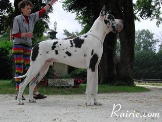 Ch Ramiro Des Terres De La Rairie