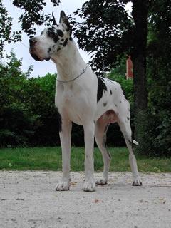 Ch Ramiro Des Terres De La Rairie