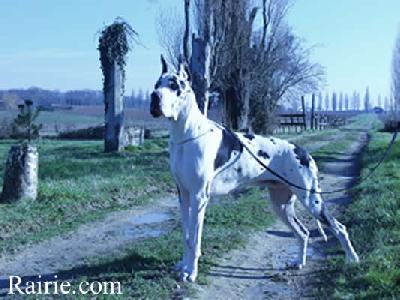Ch Ramiro Des Terres De La Rairie