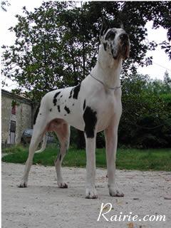 Ch Ramiro Des Terres De La Rairie