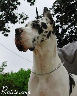 Ch Ramiro Des Terres De La Rairie