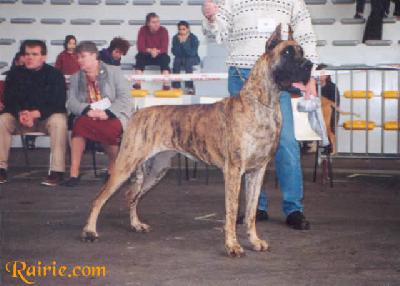 Reldresale Des Terres De La Rairie