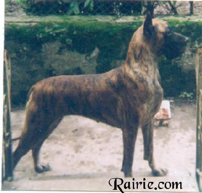 Reldresale Des Terres De La Rairie