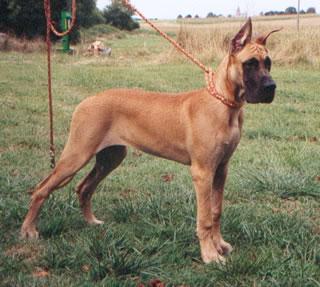 Ch Rosire Des Terres De La Rairie