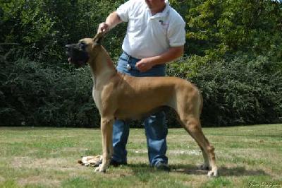 Ch Rosire Des Terres De La Rairie