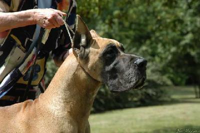 Ch Rosire Des Terres De La Rairie