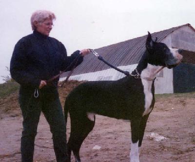 Roy Des Terres De La Rairie