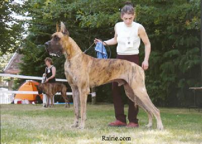 Ch Ryan Des Terres De La Rairie