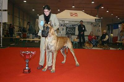 Ch Ryan Des Terres De La Rairie