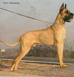 Show Des Terres De La Rairie