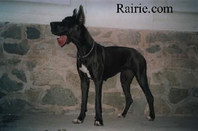 Some Will Faint Des Terres De La Rairie