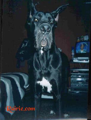 Some Will Faint Des Terres De La Rairie