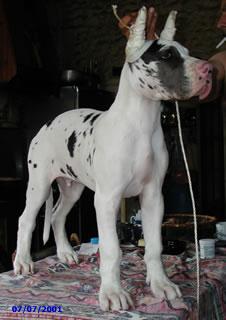 Storm Des Terres De La Rairie