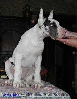 Storm Des Terres De La Rairie