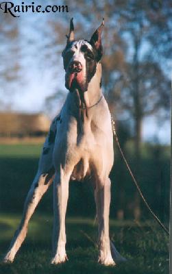 Sylhen Des Terres De La Rairie