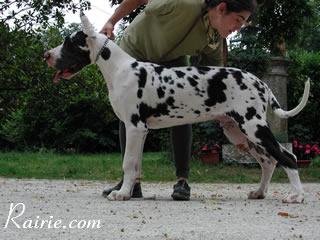 Sylhen Des Terres De La Rairie