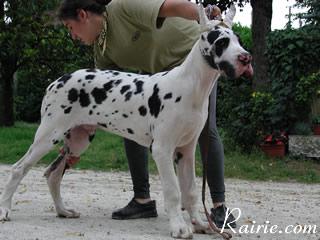 Sylhen Des Terres De La Rairie