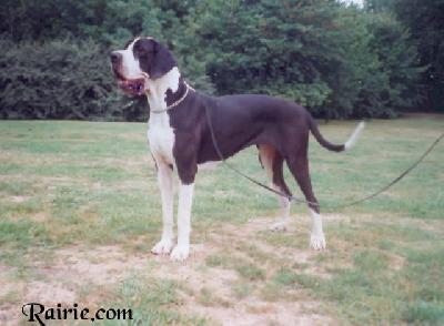 Syrah Des Terres De La Rairie