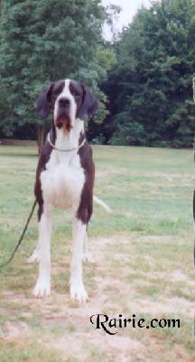 Syrah Des Terres De La Rairie