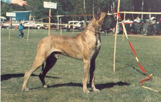 Ch Thibault Des Terres De La Rairie