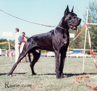 Ch Ulken Des Terres De La Rairie