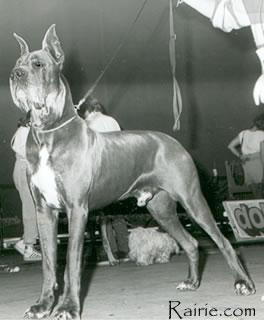 Ch Ultra Des Terres De La Rairie