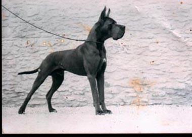 Ch Uries Des Terres De La Rairie