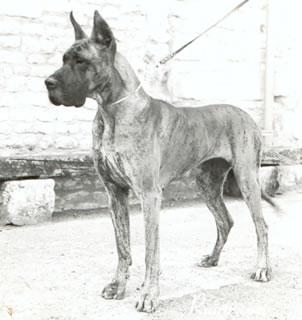 Vales Des Terres De La Rairie