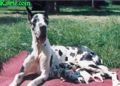 Ch Veroney Des Terres De La Rairie