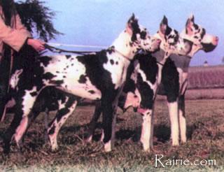 Ch Veroney Des Terres De La Rairie