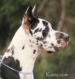 Ch Veroney Des Terres De La Rairie