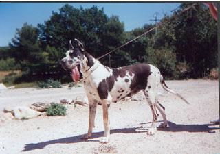 Eole Di San Biagio Della Cima