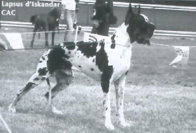 Ch Lapsus D�iskandar